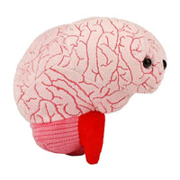 Brain Av Giant Microbes