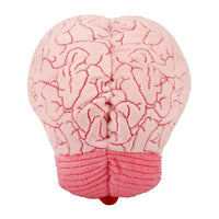 Brain Av Giant Microbes