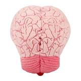 Brain Av Giant Microbes