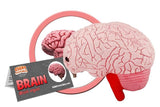 Brain Av Giant Microbes