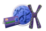 Kromosom Av Giant Microbes Gossedjur förstorade 1000-tals gånger